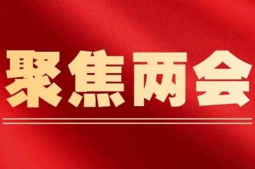 全國人大代表李寅建議（二）｜關(guān)于推進“黑電進京”建設(shè)方案的提案